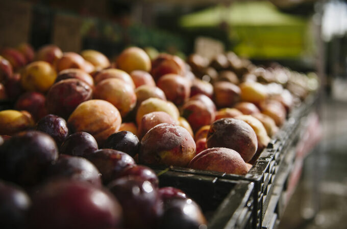 2016_PatrickKolts_HarlemFarmersMarkets_010