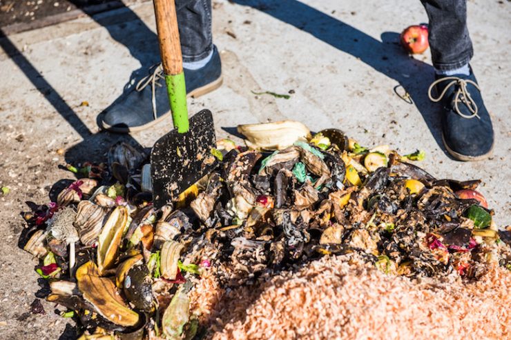 BK ROT - Kitchen scraps ready to be chopped before going into the compost bin.