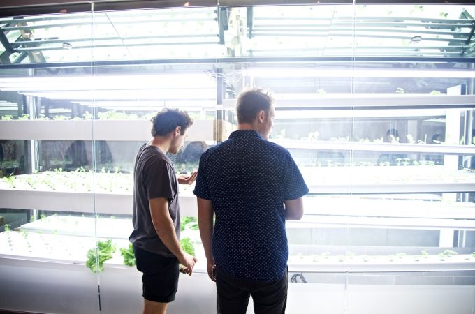 projectfarmhouse_0448