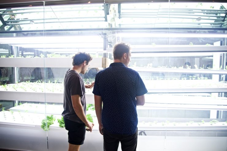 projectfarmhouse_0448