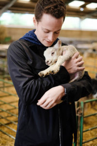 2017_Wales_JKraemer_07