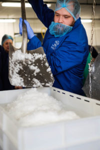 2017_Wales_JKraemer_11