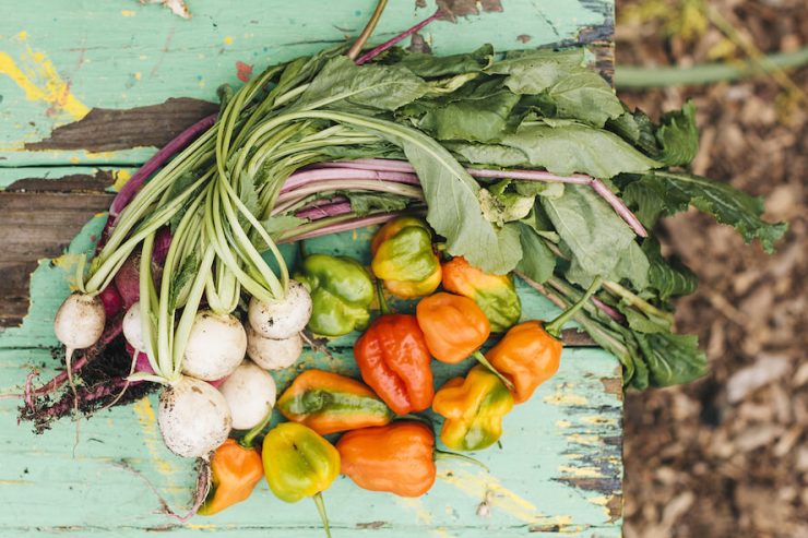 eastnewyorkfarmspeppersturnips