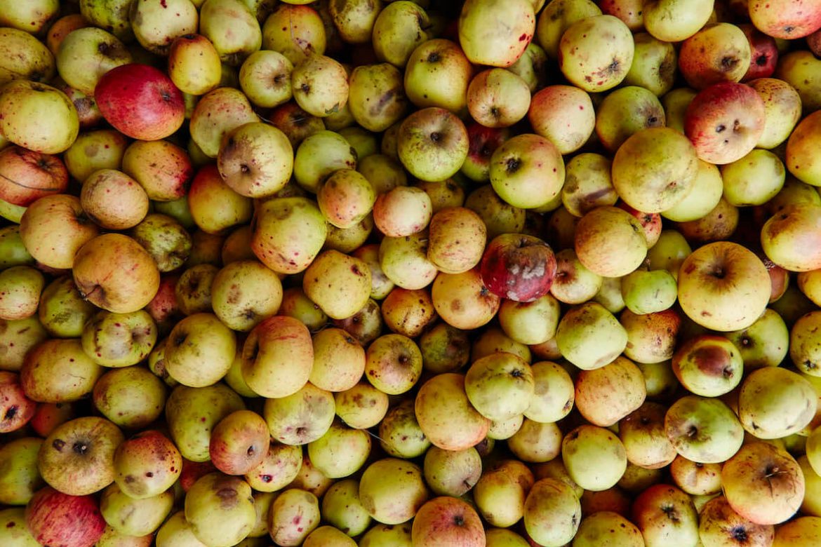 2017_CHolmes_RouteduCidre_08