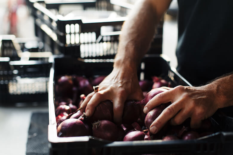 juliegoldstonekoch20170908-627A8209 copy