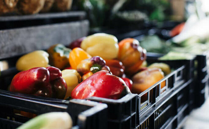 juliegoldstonekoch20170908-627A8162