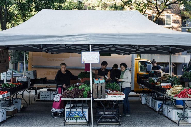 juliegoldstonekoch20170908-627A8091