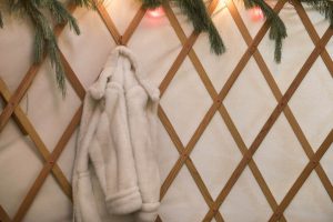 2018_LizClayman_YurtsTheStandard_03