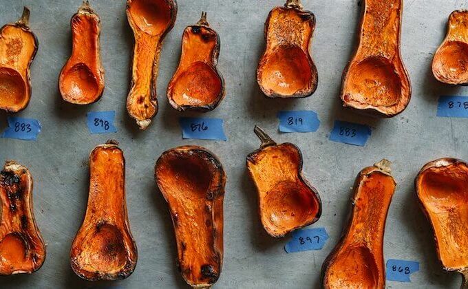 row 7 seed company squash