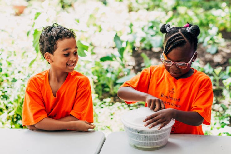 slow food nyc urban harvest