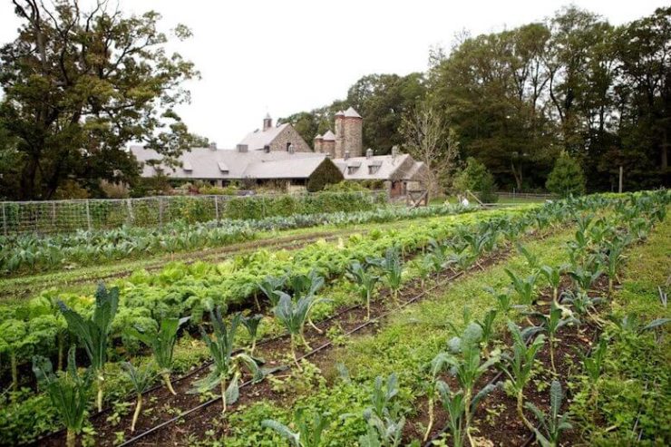 stone barns center for food and agriculture