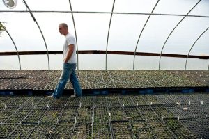 hudson valley harvest