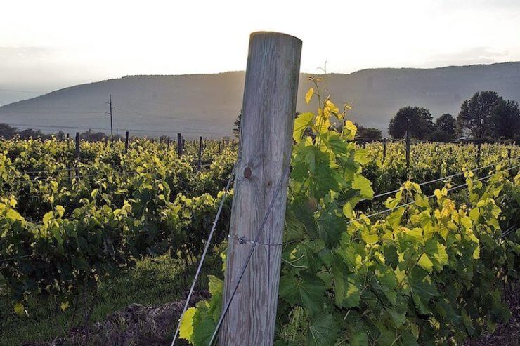 Shawangunk Wine Trail