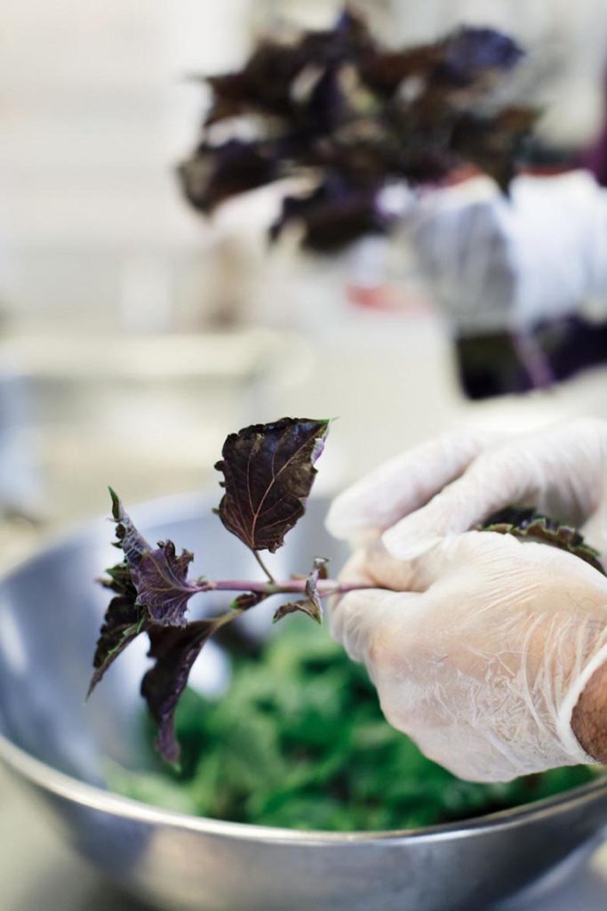 gods love we deliver