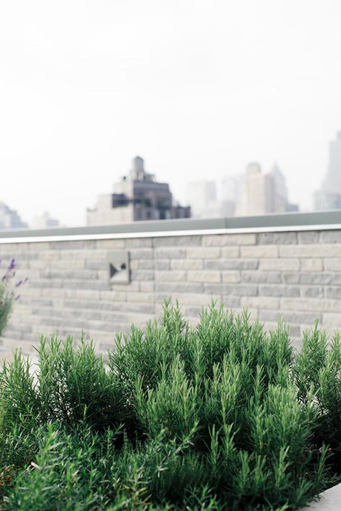 gods love we deliver