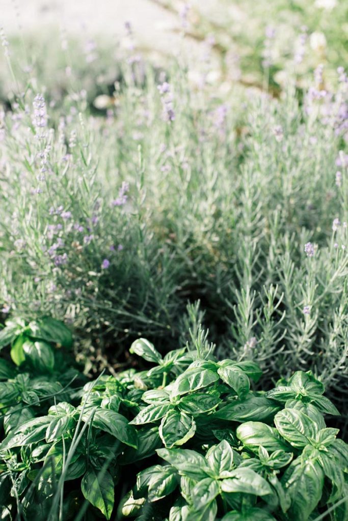 gods love we deliver