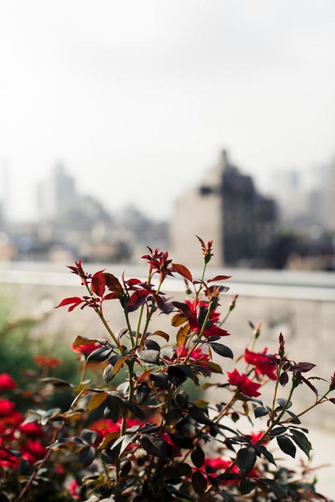 gods love we deliver