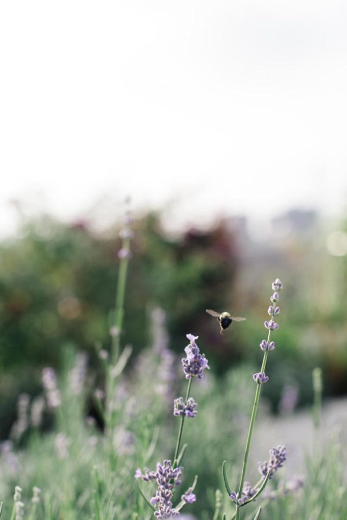 gods love we deliver