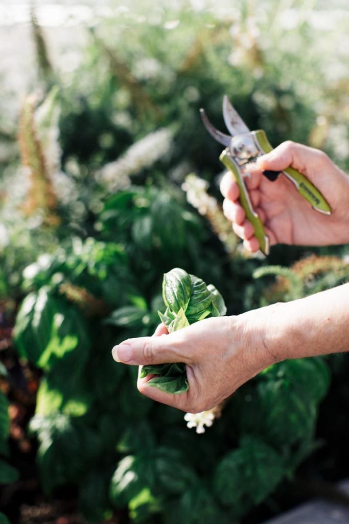 gods love we deliver