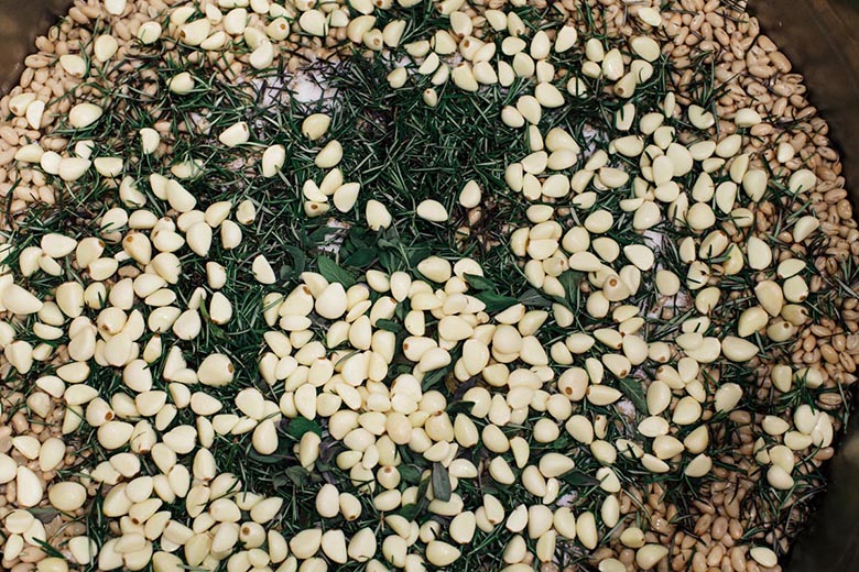 meatless-mondays-new-york-city-hospitals