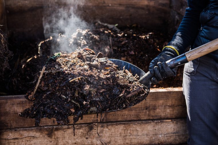 Why Composting Should Be Mandatory In New York City