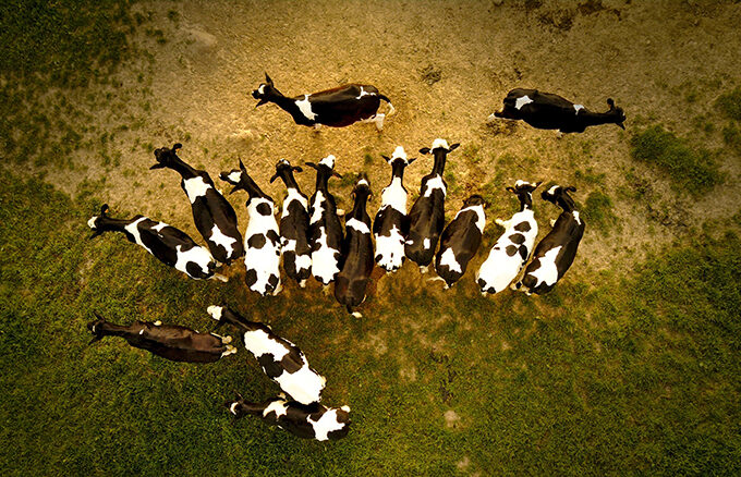 new-york-carbon-farming