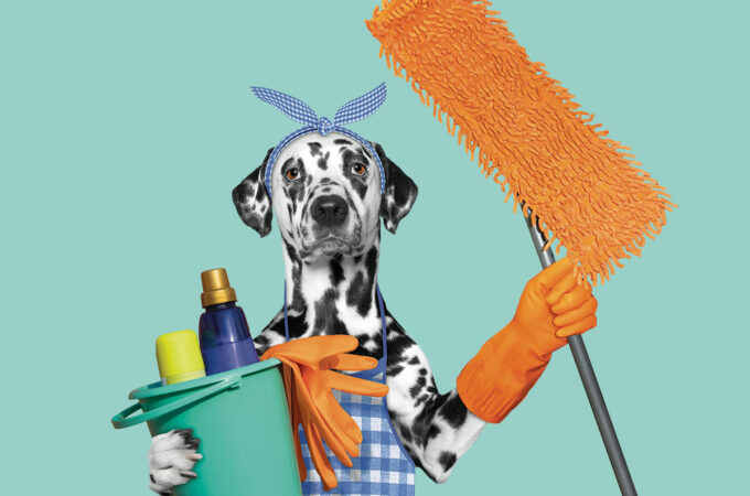 a dalmatian dressed in a smock and bandana holding cleaning supplies