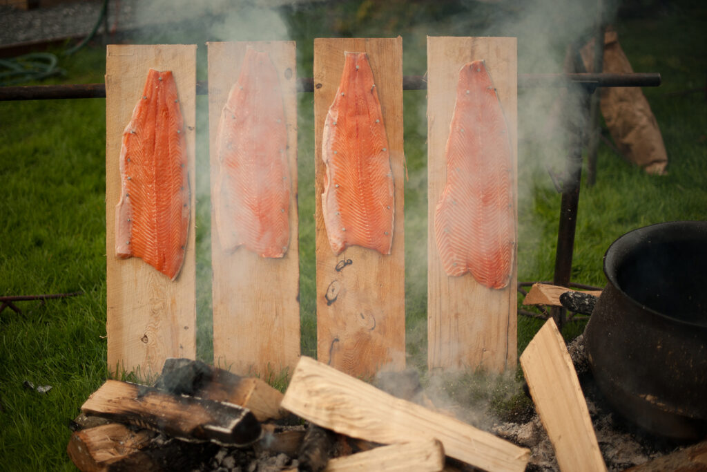 salmon on wooden planks being roasted near a fire