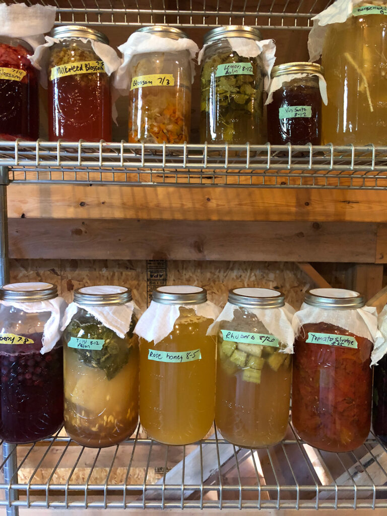 jennifer solow's homemade vinegar collection