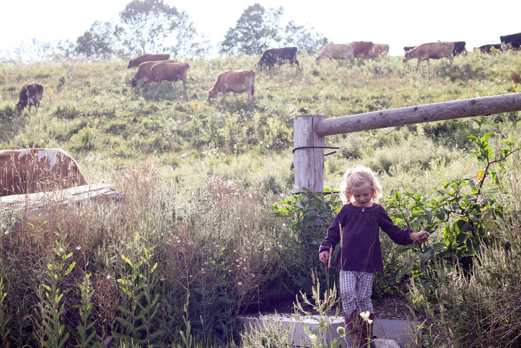 a little girl hanging out by the fence of a dairy farm