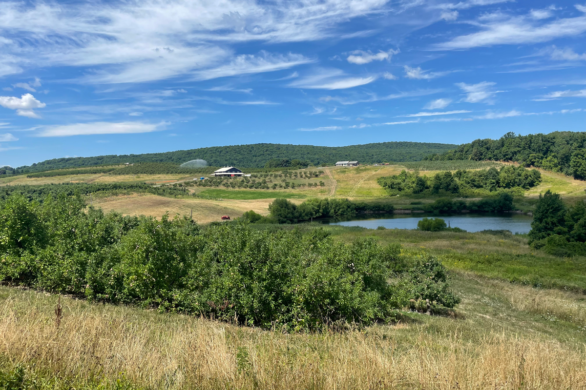 Aaron Burr Cidery, Homestead Locational Ciders: Neversink Highlands, 2 –  Flatiron NYC