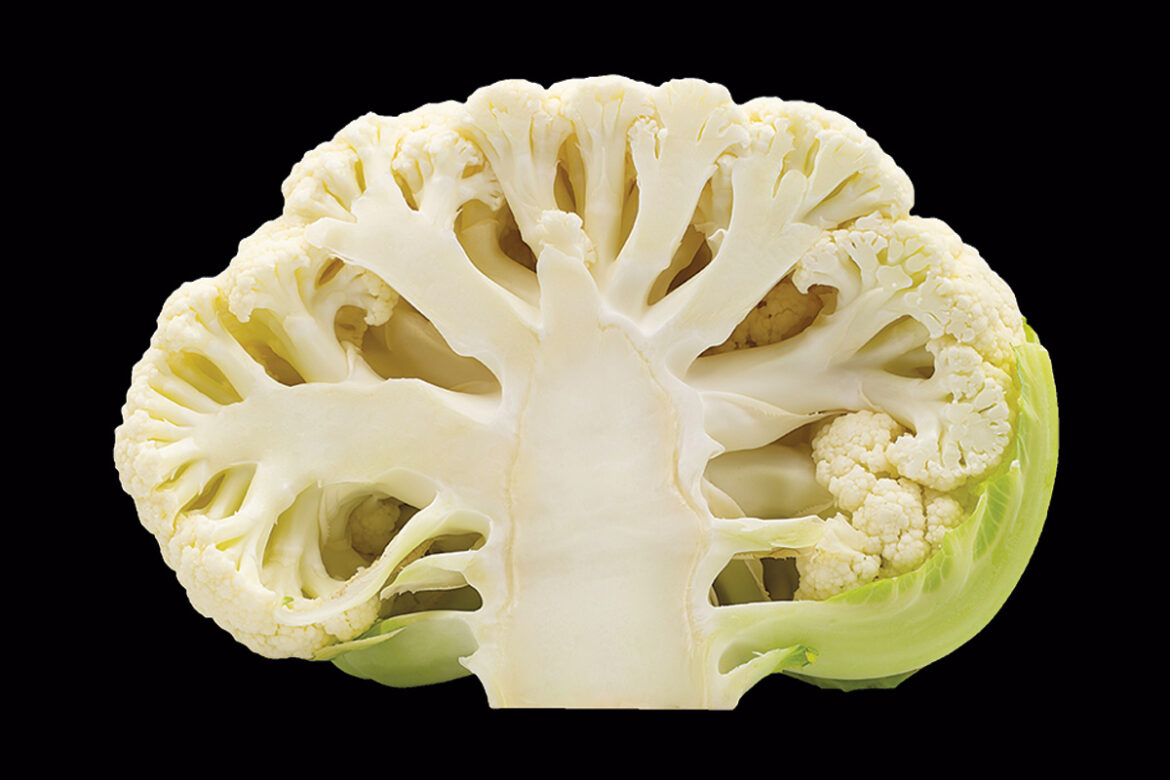 cauliflower cross section on black background