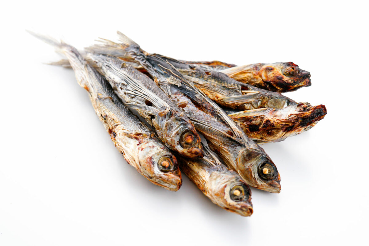 dried herring fish against a white background