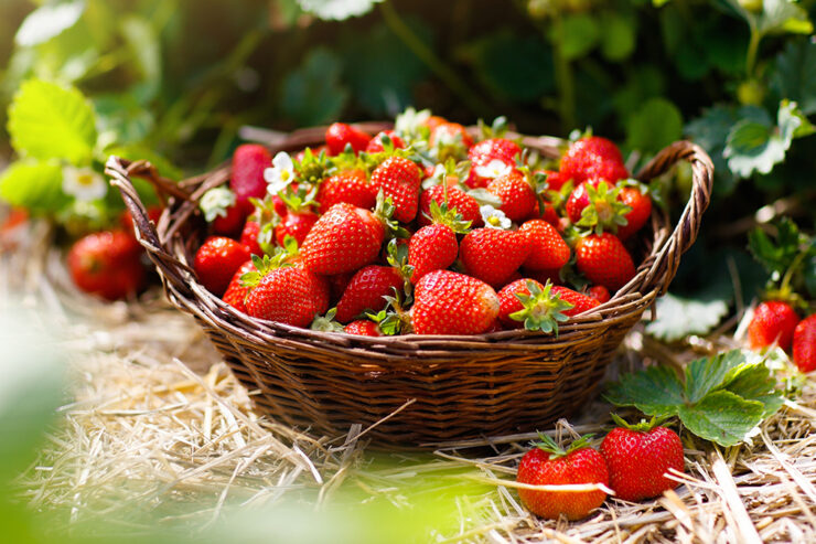 a basket of strawberries sitting on a bed of straw