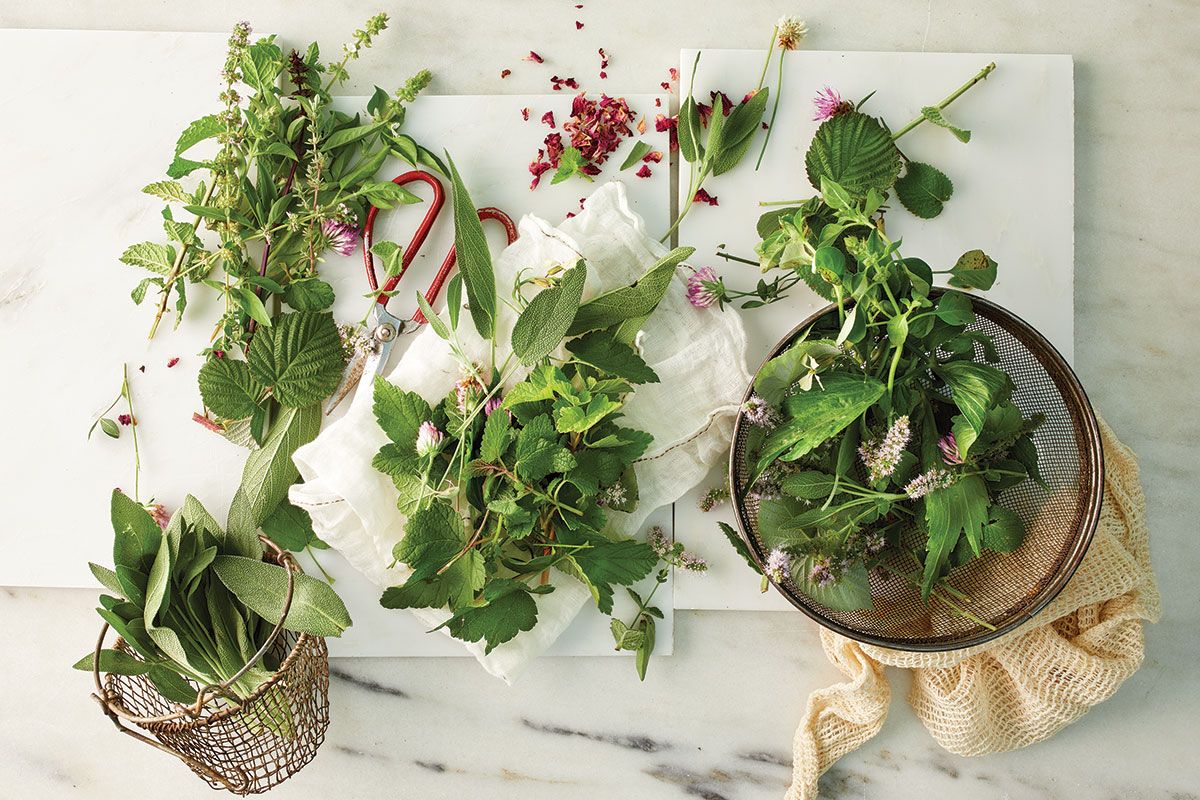herbs spread out on a marble table