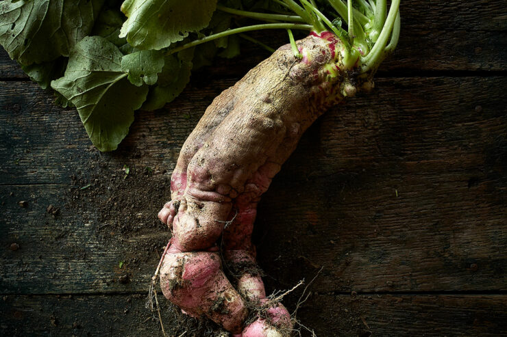 root vegetable on a wooden background