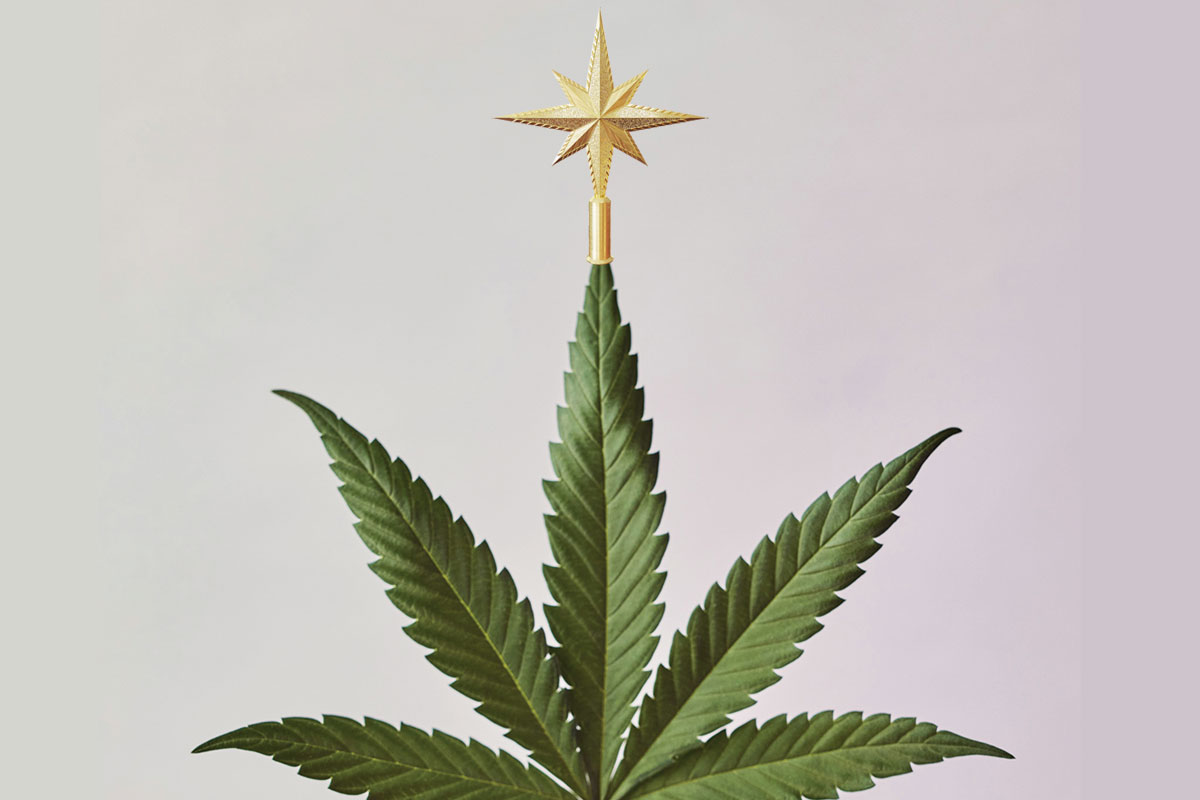 cannabis leaf with christmas tree star topper