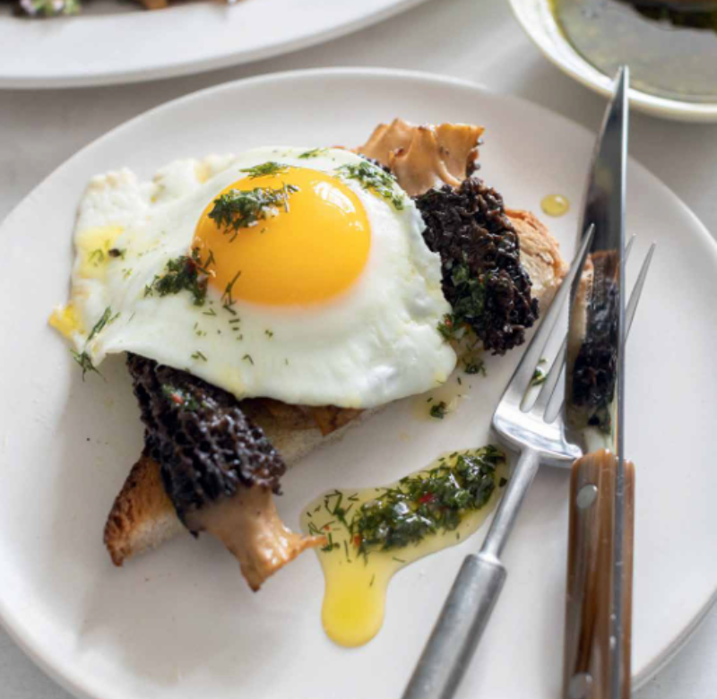 fried egg over morel mushrooms on a white plate with silverware
